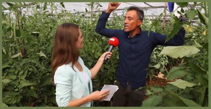 SÜLEYMAN KAPLAN VE DİĞERLERİ…