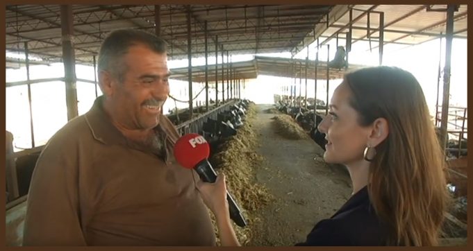 1 BARDAK ÇAY, 1 ŞİŞE SU, 1 LİTRE SÜT