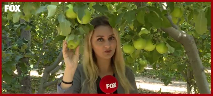 EKİM’DE HASAT YOLCULUĞU