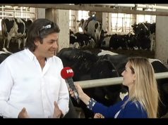 ELEŞTİRDİ, CEZA ALDI!